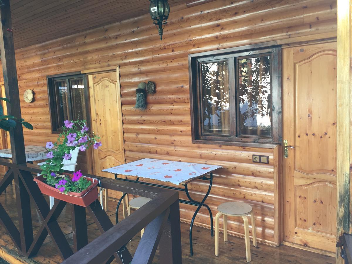 Guest House Nana Gagra Exterior foto