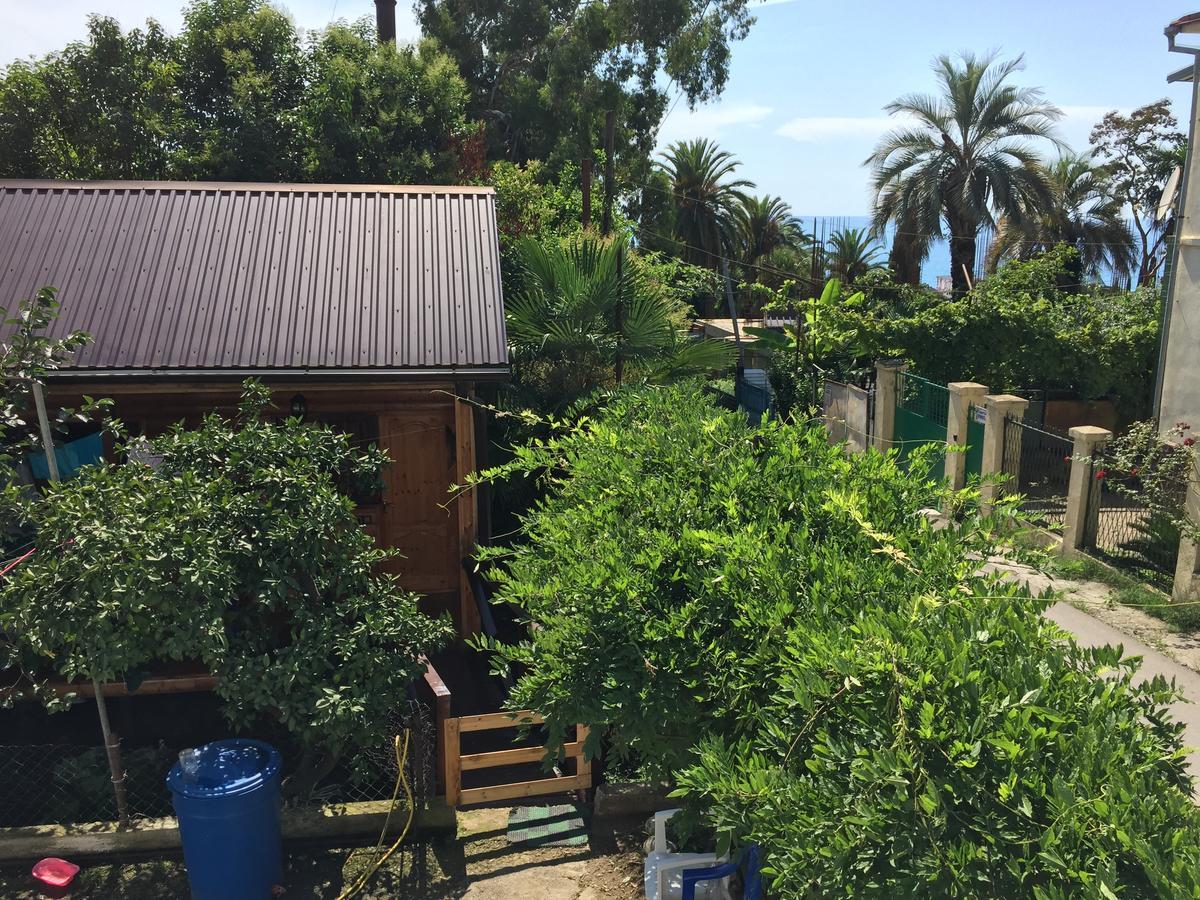 Guest House Nana Gagra Exterior foto